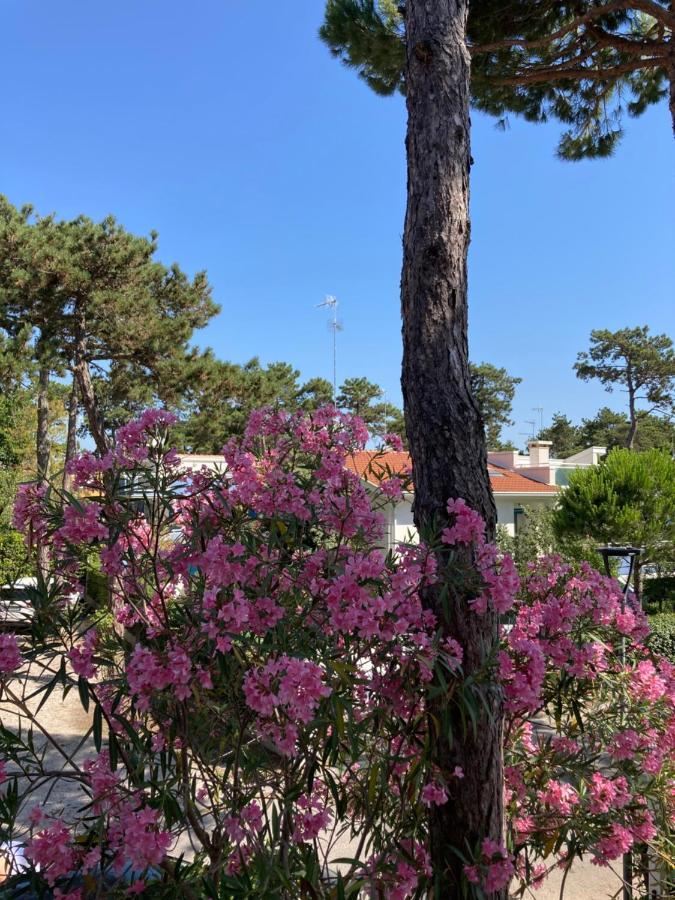 Villa Vittoria Lignano Sabbiadoro Ngoại thất bức ảnh